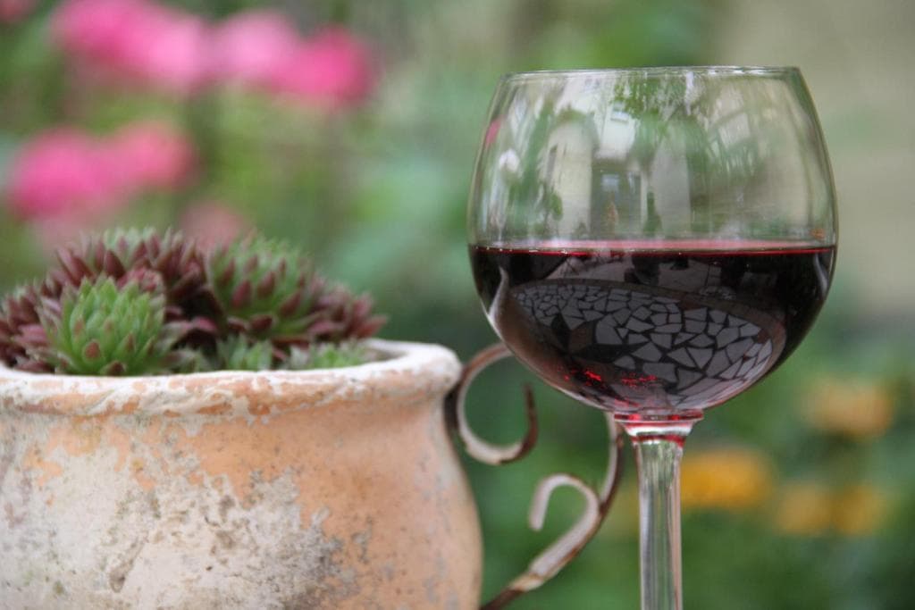 A glass of red wine on the garden terrace